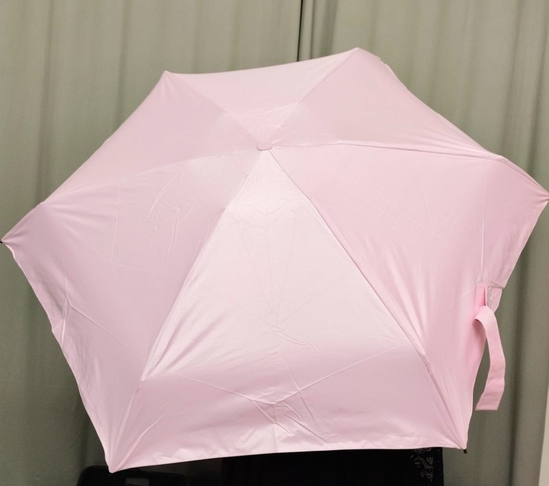 Premium Pocket Umbrella With Carrying Case