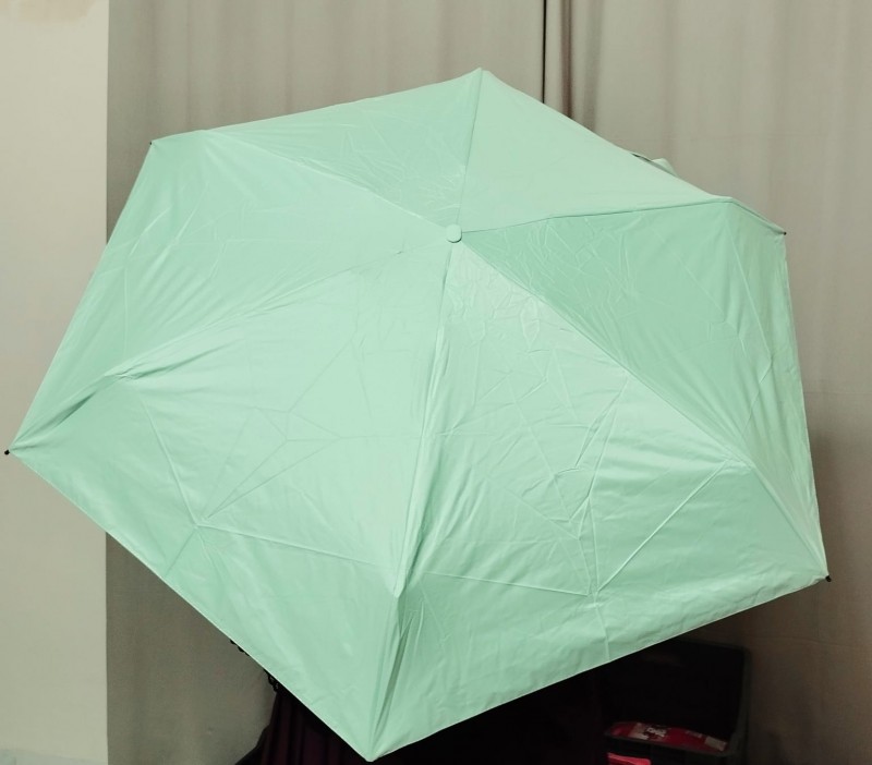 Premium Pocket Umbrella With Carrying Case